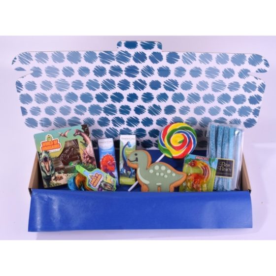 Dinosaur Gift Box