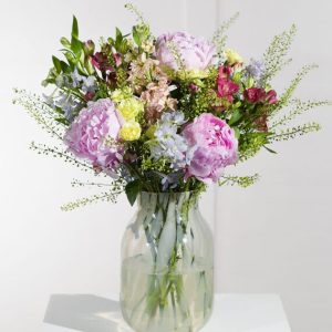 Peony Dream